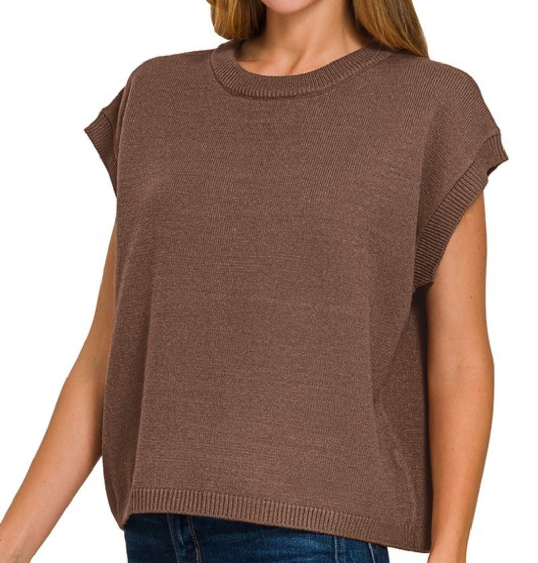Skyler Sweater Vest (Brown)